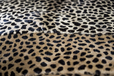 Dekorativní polštář - vzor leopard 50x50 Patchwork - 3