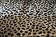 Dekorativní polštář - vzor leopard 45x45 - 3/3
